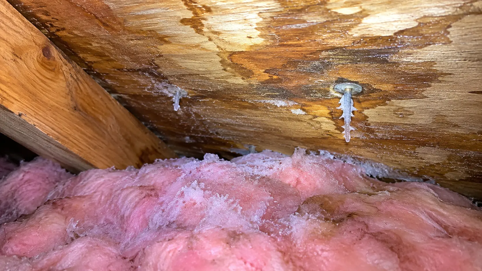 Common Roofing Problems for Homeowners in Toledo, OH 4 Roof leak damage in an attic showing water-stained roof decking, moisture buildup, and frost on roofing nails above pink insulation